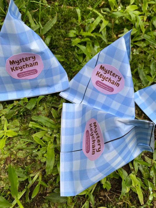 Mystery Keychain Carton