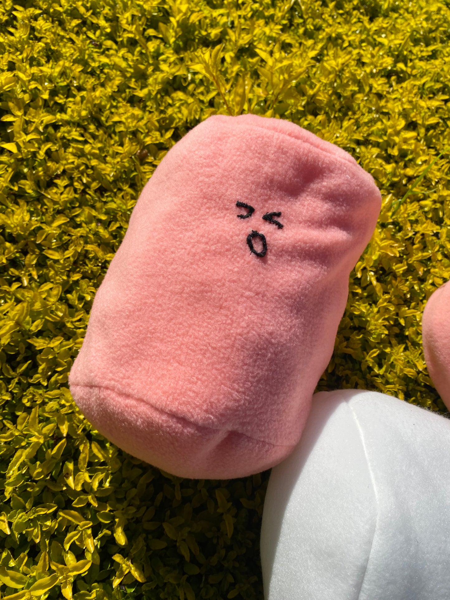 A Plushie Collection