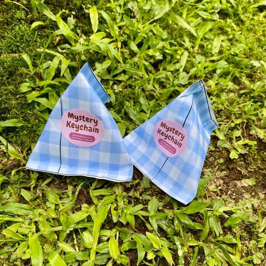 Mystery Keychain Carton