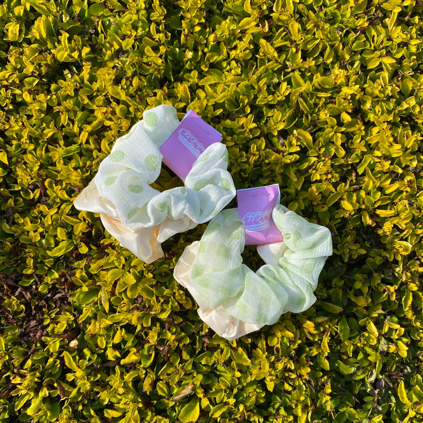 Scrunchie Pack - 2pck