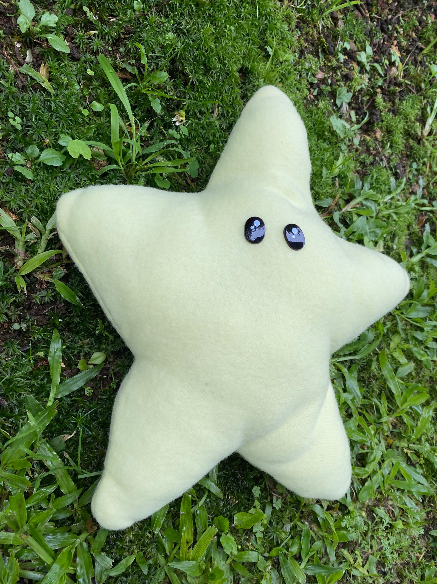 Star Plushie